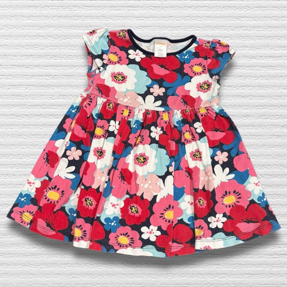 Gymboree 3t Red Blue Floral Drop Waist Dress 2017
